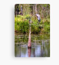 Perched Canvas Print