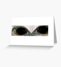 Owl Eyes Greeting Card