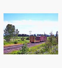 Spur Tracks Photographic Print