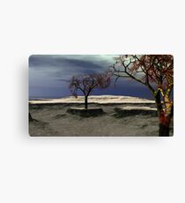 The Last Monkey Puzzle Trees Canvas Print