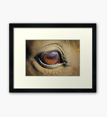 Horse Eye Closeup Framed Print