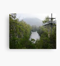 Tahune Forest Airwalk Canvas Print
