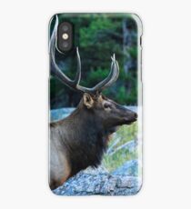 Bull Elk iPhone Case