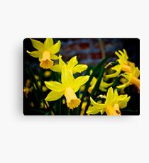 The Garden of England in Bloom Canvas Print