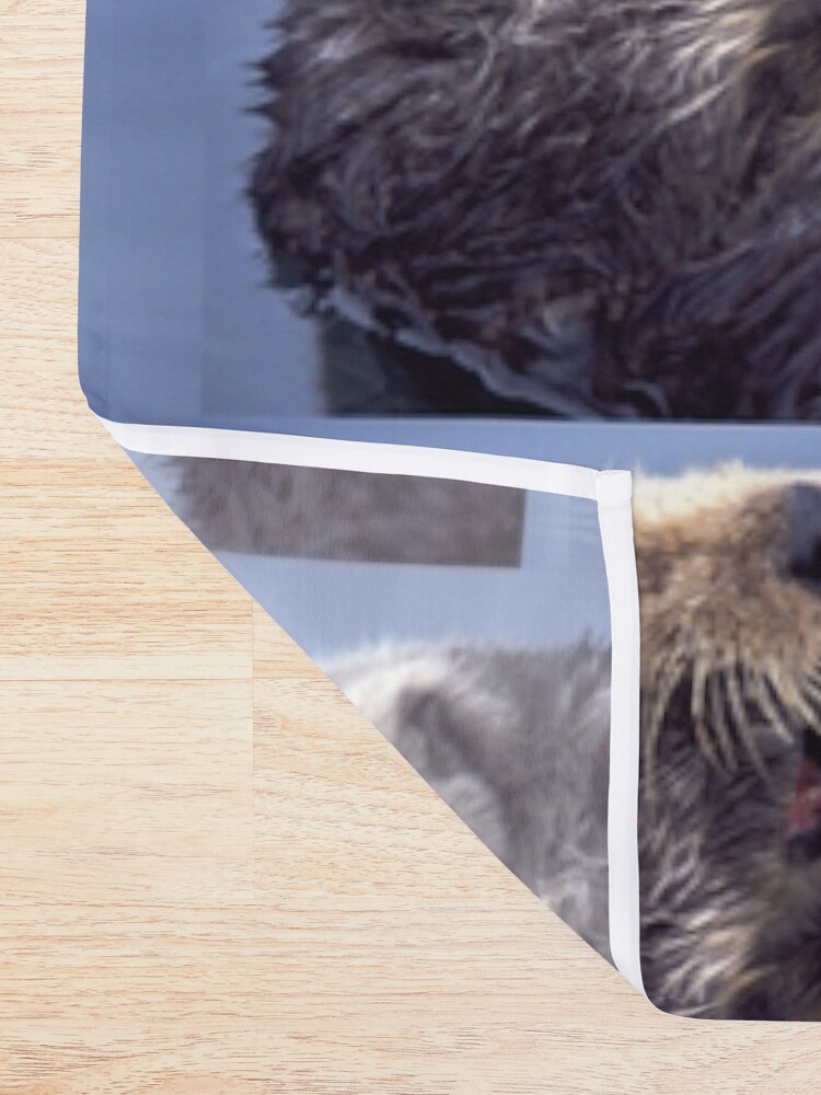 Alternate view of A Southern Sea Otter, preening as it wakes from a nap. Shower Curtain