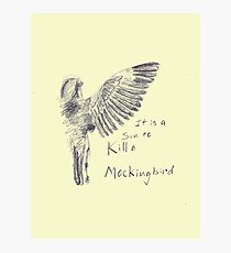 To Kill a Mockingbird - Transparent Photographic Print