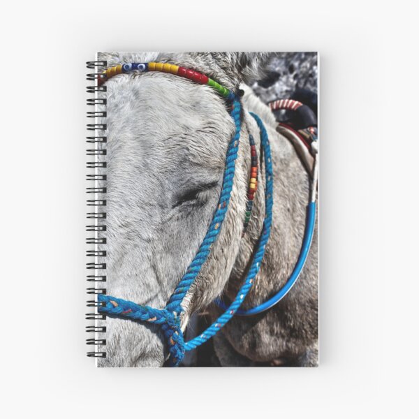 Santorini donkey Spiral Notebook