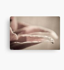Romance Canvas Print