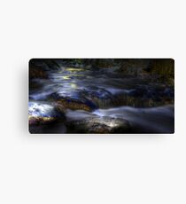 Precious Canvas Print