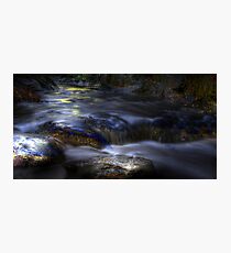 Precious Photographic Print