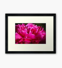 What a Joy! Framed Print