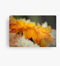 Fluffy Metal Print