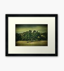 Won't Forget Framed Print