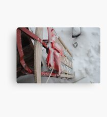 Sled Canvas Print