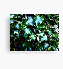 Holly Canvas Print
