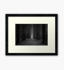 Langamull Forest 01 - Sitka Spruce Avenue Framed Print
