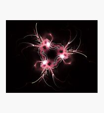 Amoeba Photographic Print