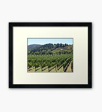 Napa Valley Vineyard Framed Print