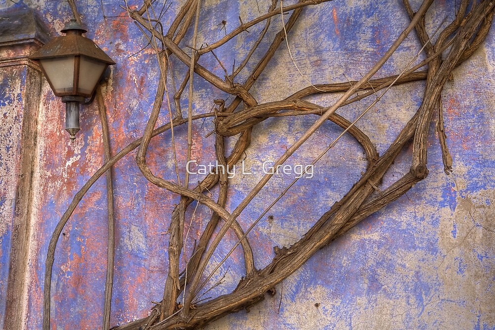 "Vine Art" by Cathy L. Gregg Redbubble