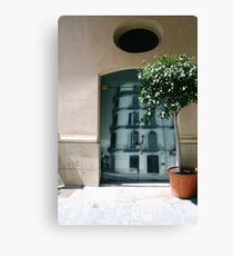 birthplace Canvas Print