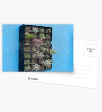 Cascti Postcards