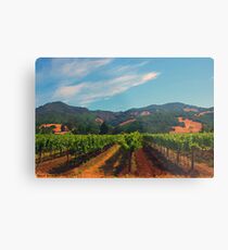 California Vineyard Metal Print
