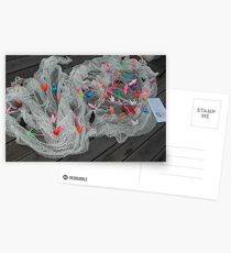 Catch of the day Postcards