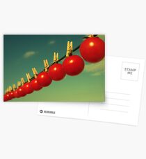 Sun dried tomatoes Postcards