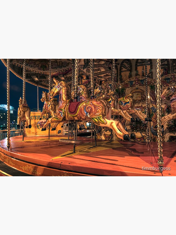 Carousel by timmburgess