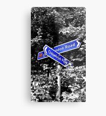 DIRECTION Metal Print