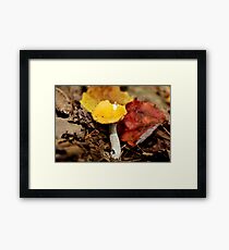 Yellow Cap & White Stalkings Framed Print