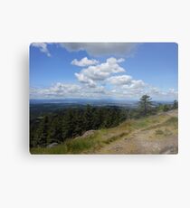 Sky Metal Print