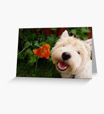 Where there's a will, there's a way Greeting Card