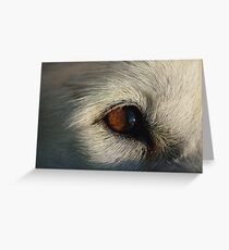 Sony upclose Greeting Card