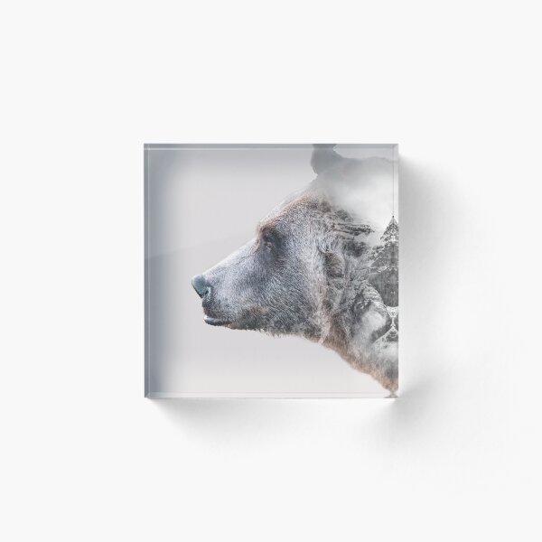 BEAR EXPOSURE Acrylic Block