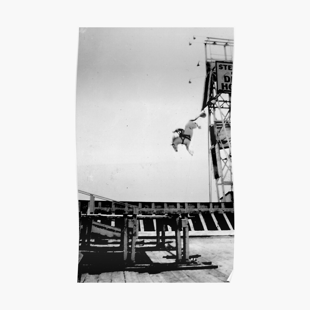 "Steel Pier New Jersey Diving Horse Performance By Jonathan Green" Poster by HarryG96 Redbubble