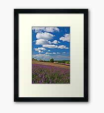 Landscape Framed Print