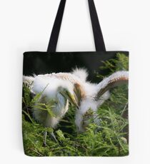 Ready to Fly Tote Bag