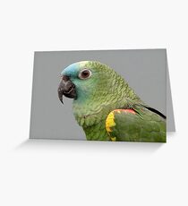Amazon Greeting Card