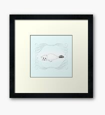 Seal Pup Framed Print