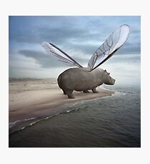 Fly away Photographic Print
