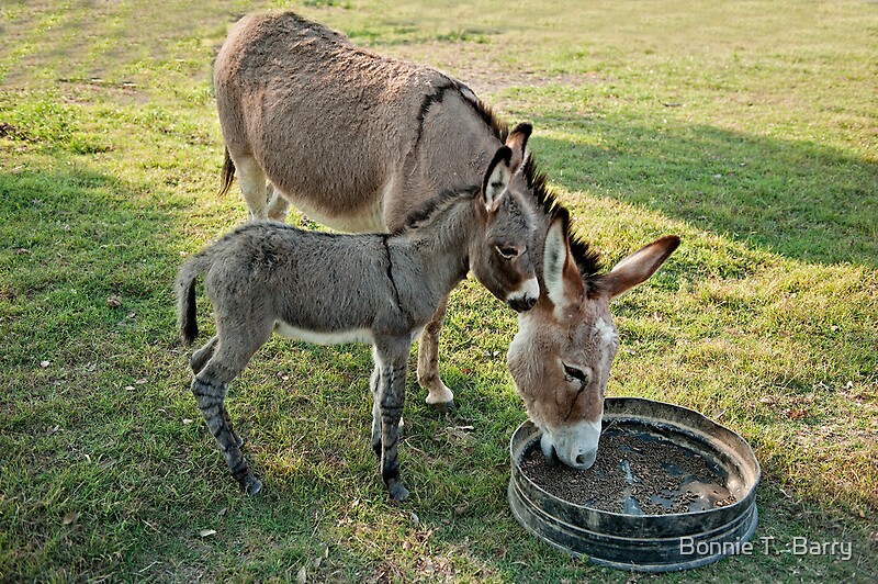 リヤドロ ヴィンテージ Donkey with Mother and Child 税込 - www