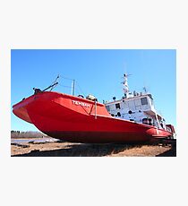 Red Tembah Photographic Print