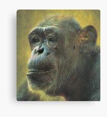 Despair Canvas Print