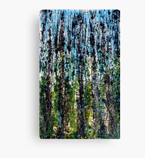 blue forest - Comboyne plateau NSW, Australia Canvas Print
