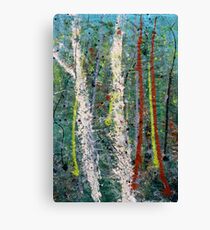 the welcome home - Blue quandongs in forest 1. Main Arm valley NSW, Astralia Canvas Print