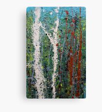the welcome home - Blue quandongs in forest 3. Main Arm valley NSW, Astralia Canvas Print