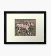 Precious Framed Print