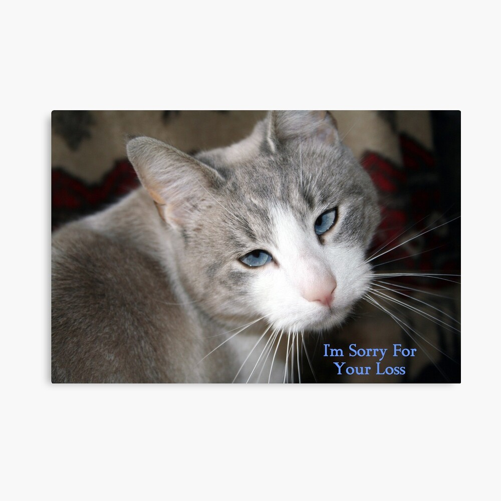 Sympathy Card Canvas Print