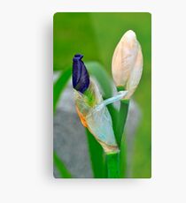 Tag! Metal Print